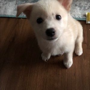 Meet your Posher, Deanna